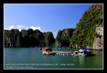 halong17