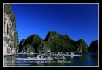 halong20
