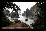 halong32