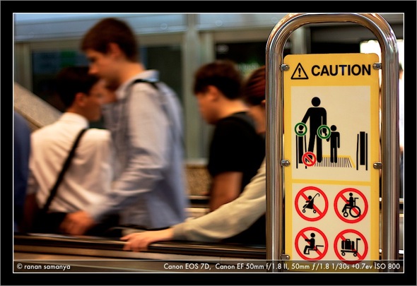 Cautious singapore 009