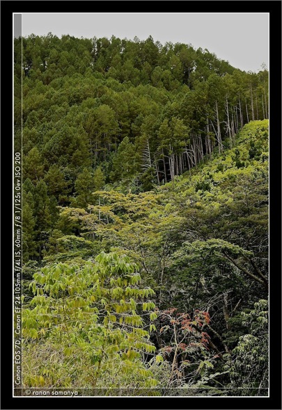 Toba_SamosirAlmostEurope.jpg Toba SamosirAlmostEurope