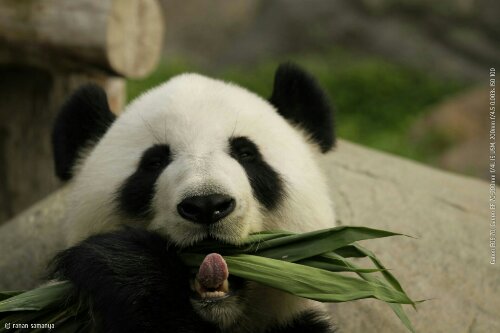 _MG_0397_wm_wm.jpg image