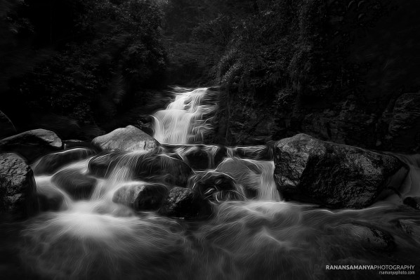 nerve of the river.jpg Nerve of the river